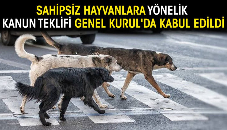 Sahipsiz hayvanlara yönelik kanun teklifi Genel Kurul'da kabul edildi