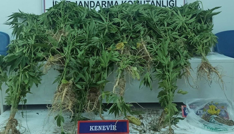 Erciş’te uyuşturucu madde ele geçirildi