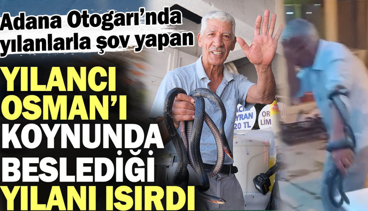 Yılancı Osman'ı koynunda beslediği yılanlar ısırdı! Şov yaparken...