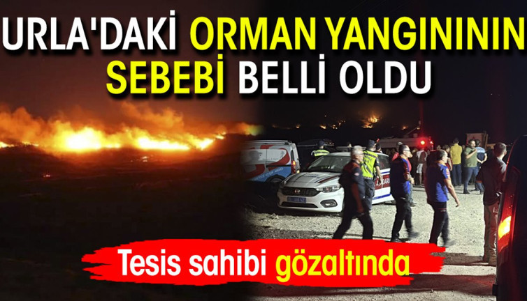 Urla'daki orman yangınının sebebi belli oldu: Tesis sahibi gözaltında