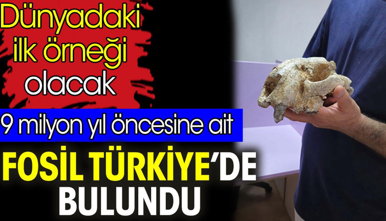 9 milyon yıl öncesine ait fosil Türkiye’de bulundu. Dünyadaki ilk örneği olacak