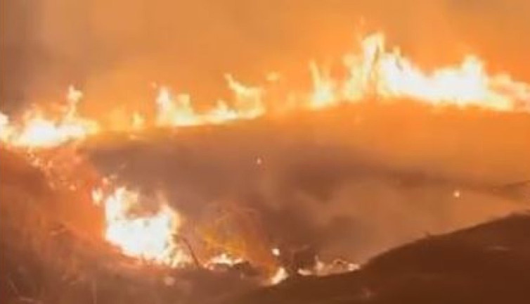 Otlar çıra gibi yandı