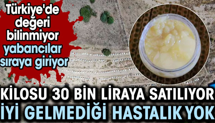 Kilosu 30 bin liraya satılıyor: İyi gelmediği hastalık yok. Türkiye'de değeri bilinmiyor yabancılar sıraya giriyor