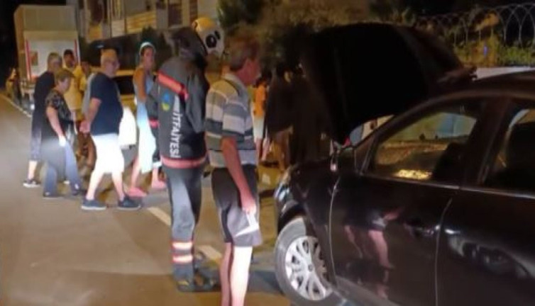 Otomobilde yılan avı