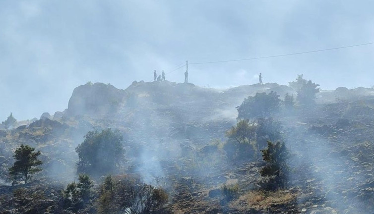 Malatya'da 3 ayrı noktada yangını
