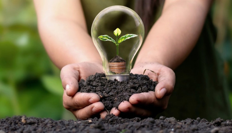 Yeşil İstihdam Nedir?