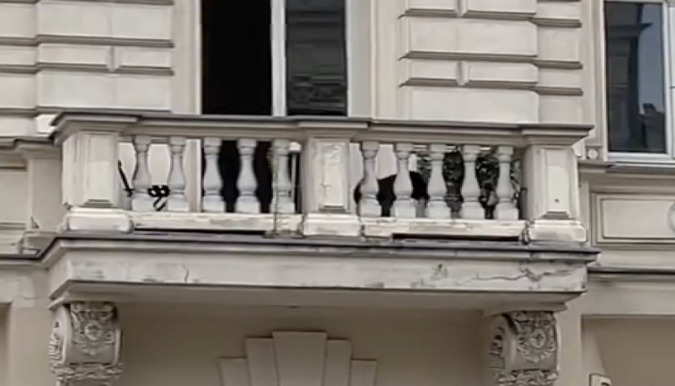 Canı sıkılan akıllı köpek balkona çıkıp yoldan geçenlere top attı