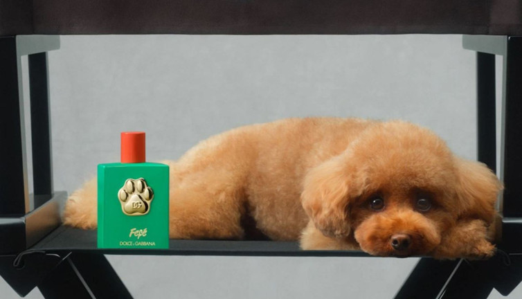 Köpek parfümü satışa sunuldu