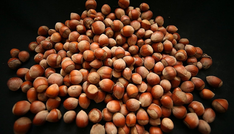 Ticaret borsalarında dev fındık işlemi