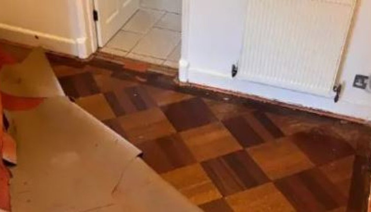 Yeni satın aldıkları evde halının altında 1 milyon 5 TL buldular. Bunlar da şanslı çift