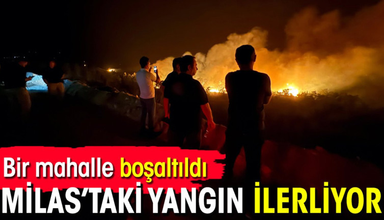 Milas'taki yangın ilerliyor: Bir mahalle boşaltıldı