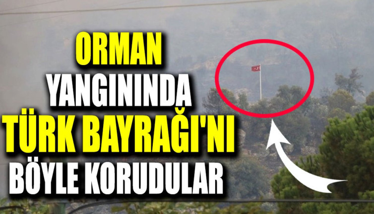 Orman yangınında Türk Bayrağı'nı böyle korudular