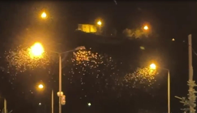 "Bir günlükler"in ölüm uçuşu başladı