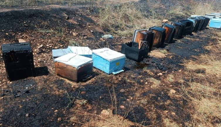 45 arı kovanı alevlere esir oldu