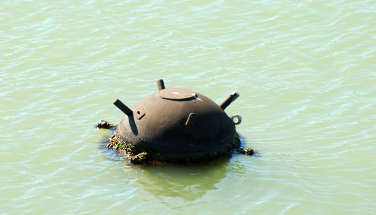 Deniz mayını karaya vurdu