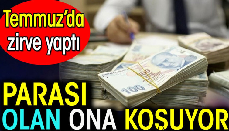 Parası olan ona koşuyor. Temmuz'da zirve yaptı