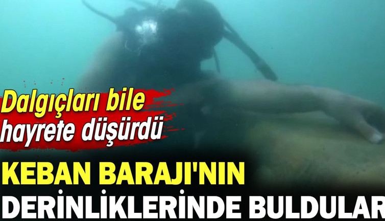 Keban Barajı'nın derinliklerinde buldular dalgıçlar bile hayrete düştü