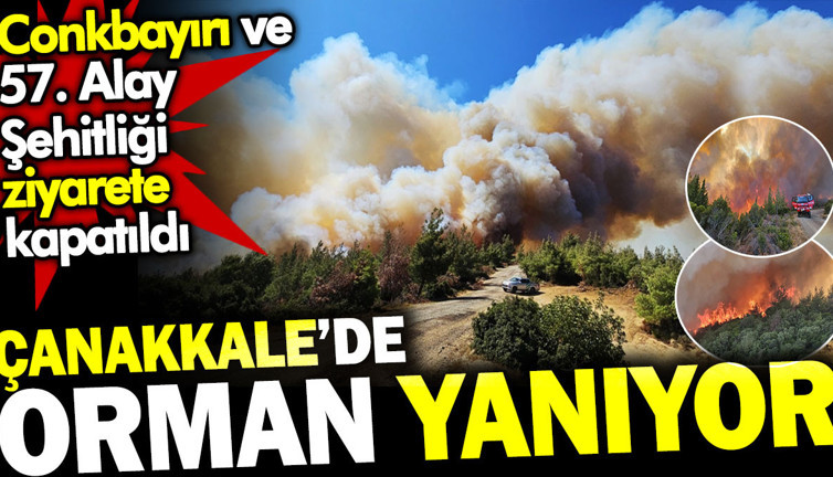 Çanakkale'de orman yanıyor. Conkbayırı ve 57. Alay Şehitliği ziyarete kapatıldı