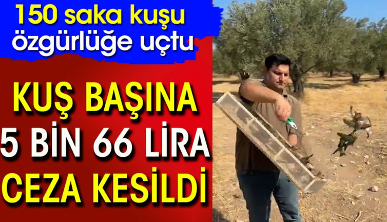 Kuş başına 5 bin 66 lira ceza kesildi. 150 saka kuşu özgürlüğe uçtu