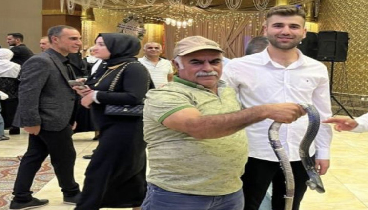 Gelin ve damada düğünde yapılan yılanlı sürpriz
