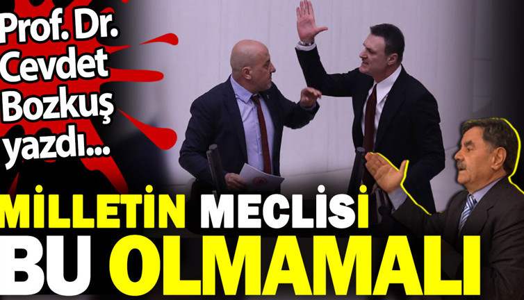 Milletin Meclisi bu olmamalı. Prof. Dr. Cevdet Bozkuş yazdı