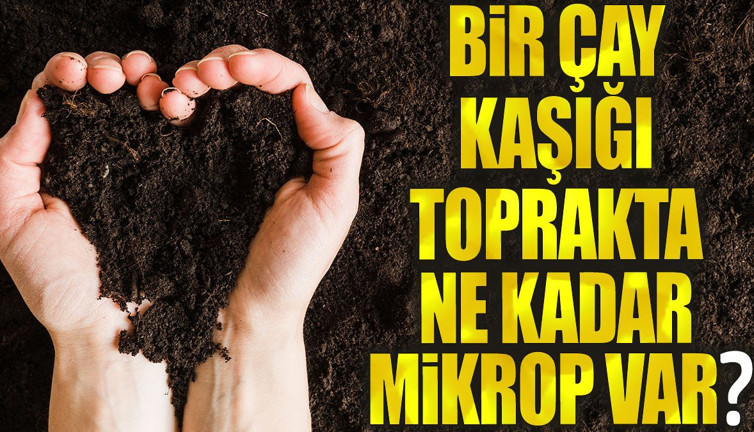 Bir çay kaşığı toprakta ne kadar mikrop var?