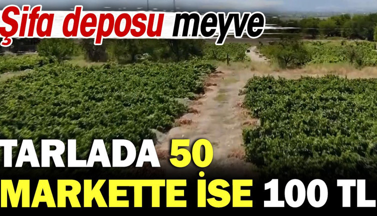 Şifa deposu meyvenin kilosu tarlada 50 markette 100 TL