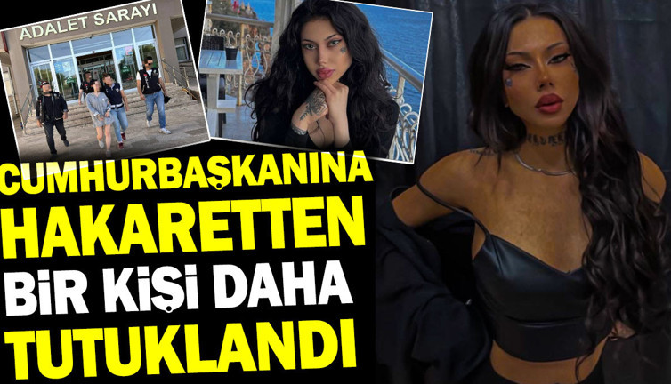 Cumhurbaşkanına hakaretten bir kişi daha tutuklandı