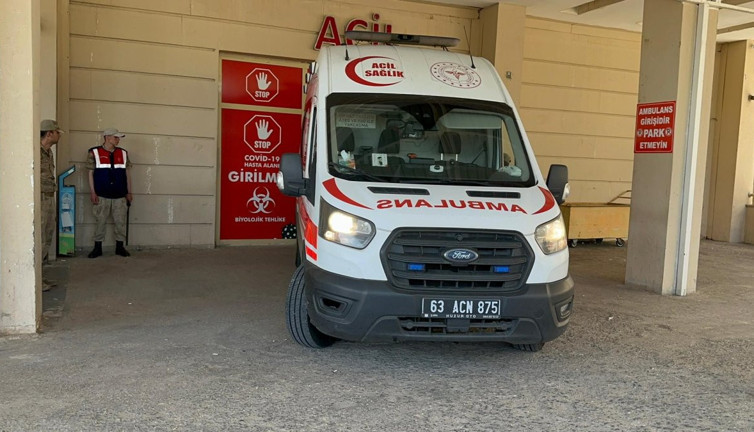 Şanlıurfa'da çiftçi domuzun saldırısına uğradı