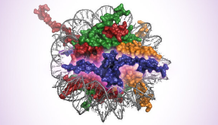 Yeni genetik sensör keşfedildi