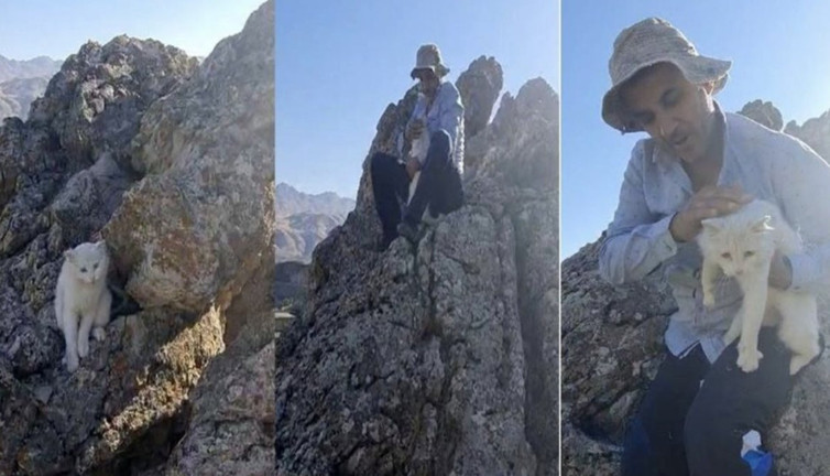 250 metre yükseklikte mahsur kalan kedi kurtarıldı