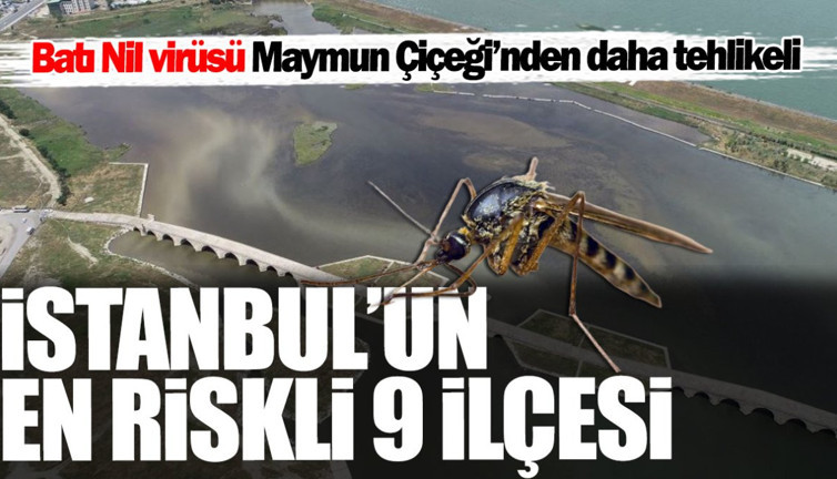 İstanbul’un en riskli 9 ilçesi! Batı Nil virüsü Maymun Çiçeği’nden daha tehlikeli