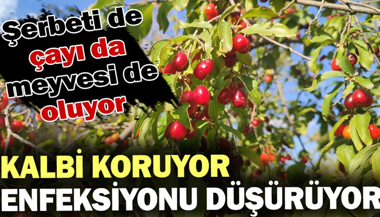Kalbi koruyor, enfeksiyonu düşürüyor! Mucizevi meyve her yere iyi geliyor