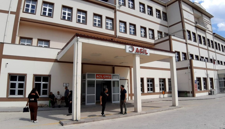 Bolu'da arılar saldırdı! Hastanelik oldular