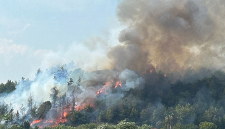 Antalya'nın Aksu ilçesinde orman yangını! Rüzgarın etkisiyle yayıldı