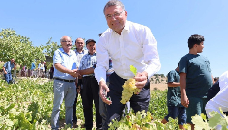 Kilosu 30 liradan gidiyor! Hasadı başladı...
