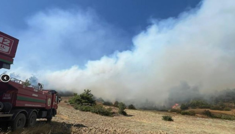 Kahramanmaraş'ta orman yangını (31 Ağustos 2024)