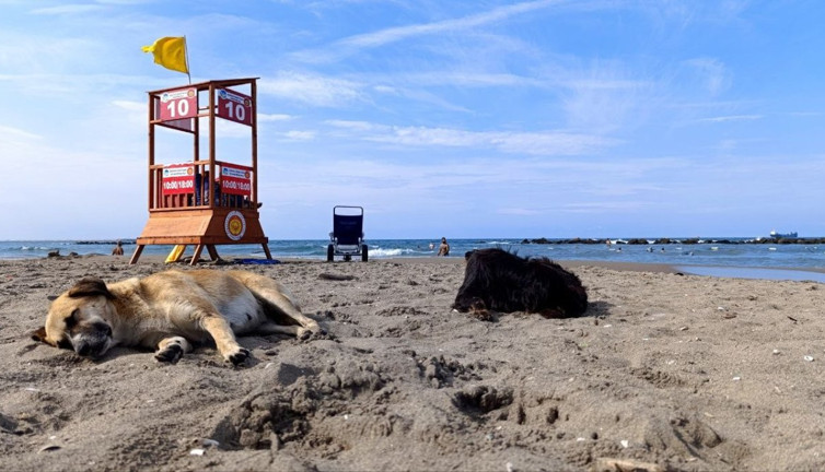 Sonbahar geldi Karasu sahili boş kaldı