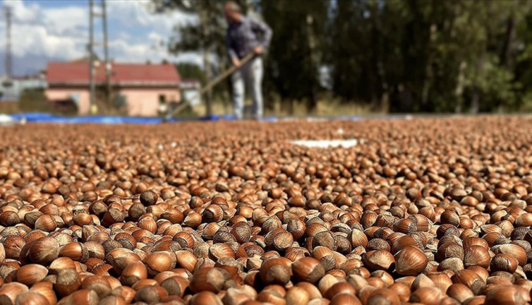 Ticaret borsalarında fındık alım açıklaması