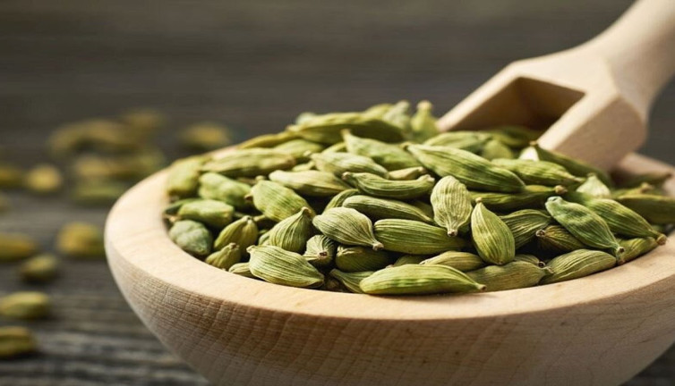 Tansiyon ve şekeri düşüren bitkiler tedaviler var mı? Uzmanlar bakın ne diyor