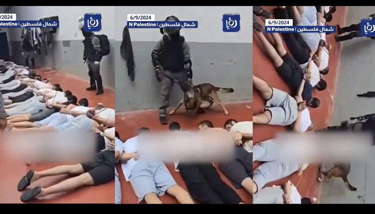 Filistinli esirlere köpekli işkence. İsrail gazetesi sızdırdı