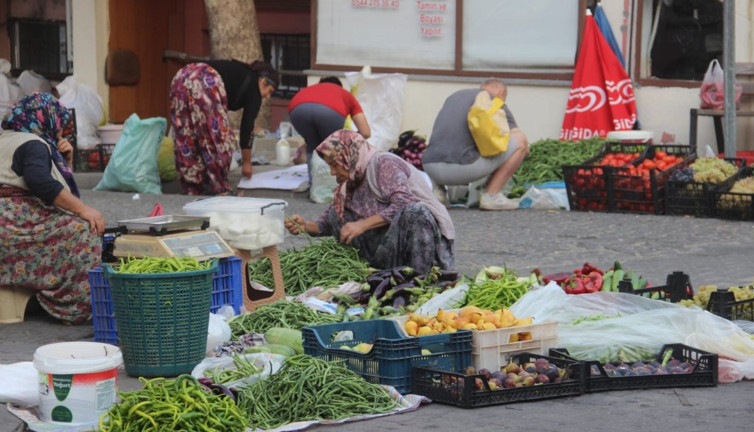 Kaz Dağları’nda yetişiyor pazarda kapışılıyor