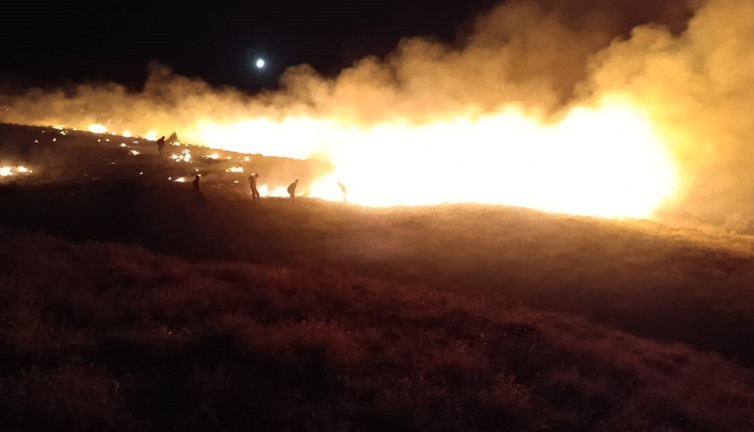 Orman yangınları söndürüldü