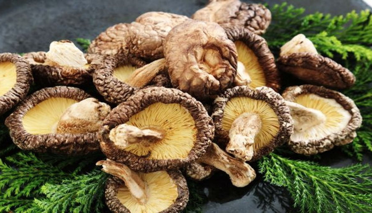 Mantar zehirlenmesi vücutta kalıcı hasar bırakabiliyor