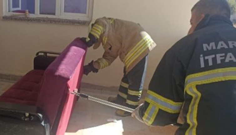 Evi yılanlar bastı