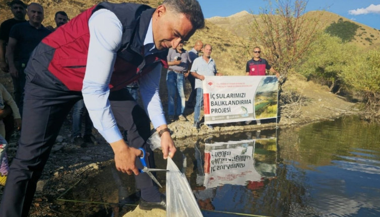 1 milyon 670 bin yavru sazan göletlere salındı