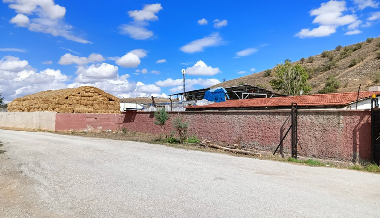 Kazara arkadaşını öldürdü