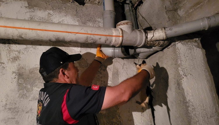 Gider borusuna sıkışan yavru kediyi itfaiye kurtardı