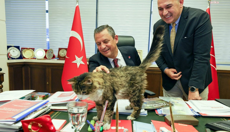 CHP'nin kedisi 'Şero' defnedildi. Törene CHP Genel Başkanı Özgür Özel de katıldı