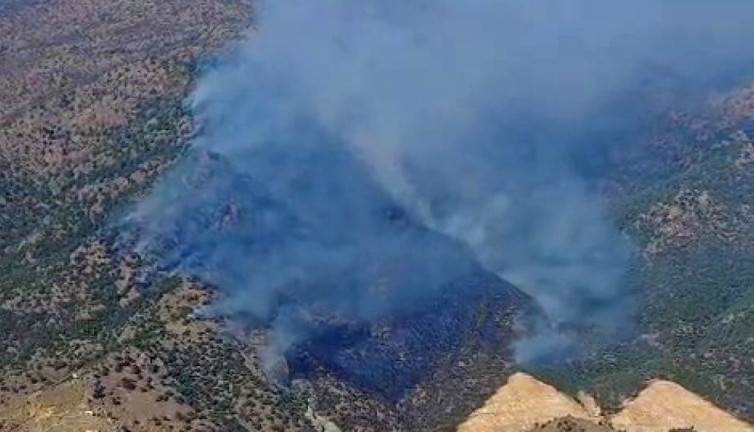 Manisa’nın Alaşehir ilçesinde orman yangını. 29 Eylül 2024